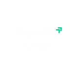 Buy USA Number